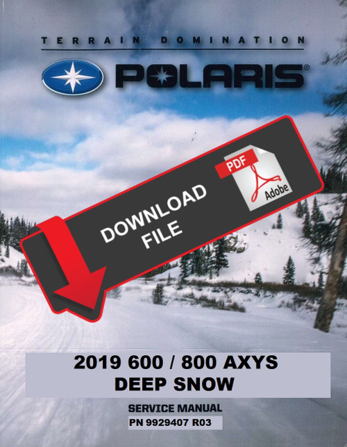 Polaris 2019 800 Pro-RMK 163 3.0 Track Service Manual