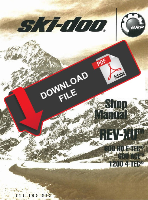 Ski-Doo 2011 Tundra Sport 600 ACE Service Manual