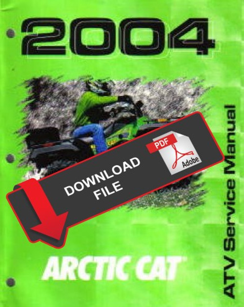 Arctic Cat 2004 ATV 300 4x4 Service Manual