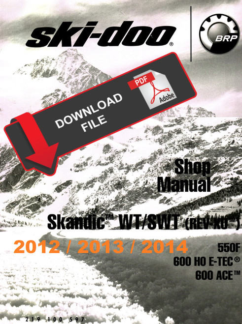 Ski-Doo 2013 Skandic WT 600 ACE Service Manual