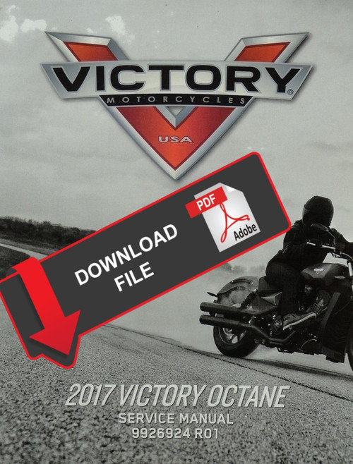 Victory 2017 Octane ABS Service Manual