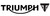 Triumph 2014 Speed Triple R Service Manual