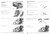 Honda 1990 Elite 50 Service Manual