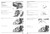 Honda 1998 SA50 Service Manual