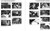 Can-Am 2011 Renegade 800R Service Manual