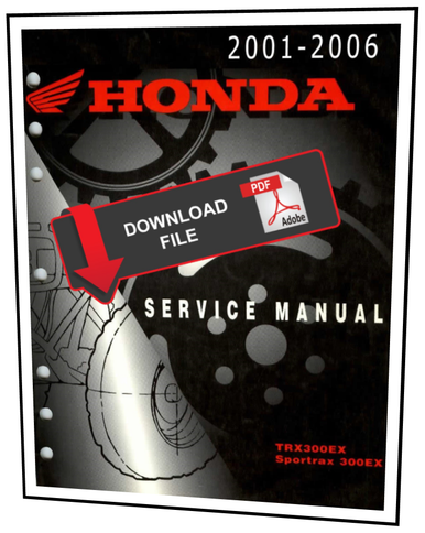 Honda 2004 TRX 300 EX Service Manual