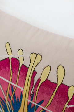 Botanical Anatomy Cushion by  - Close-up