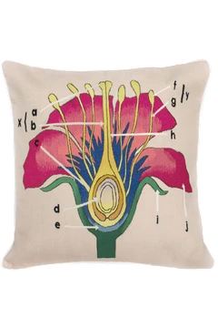 Botanical Anatomy Cushion by  - Flatshot