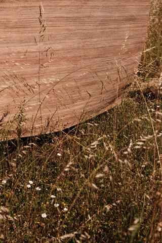 Flatweave Sunpat by The Rug Company - detail [ROOMVO]