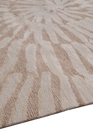 Ammonite Natural by Winch - sidepile