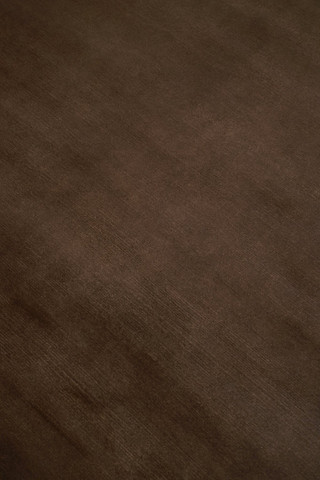 Close-up of Mohair Sheared rug in Carob, showing pile texture