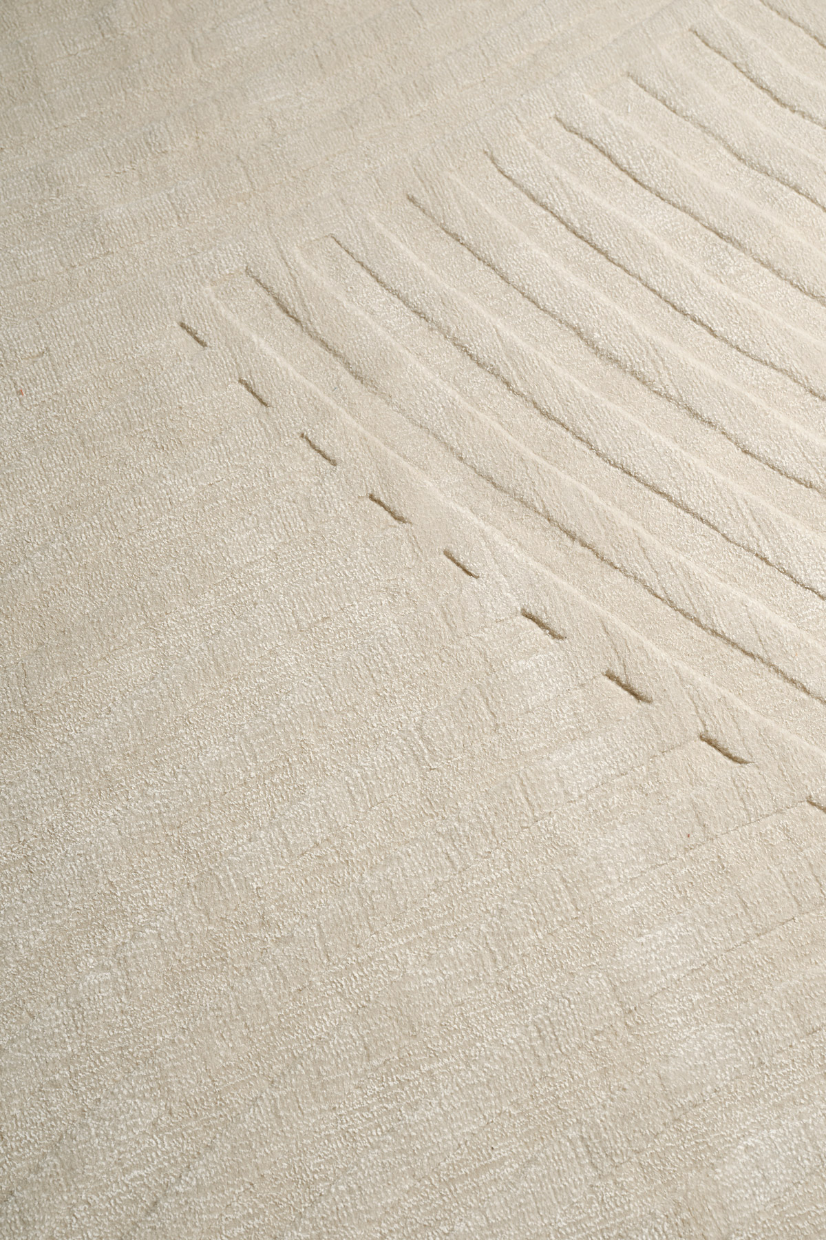 Sono Shell Rug by The Rug Company - closeup image