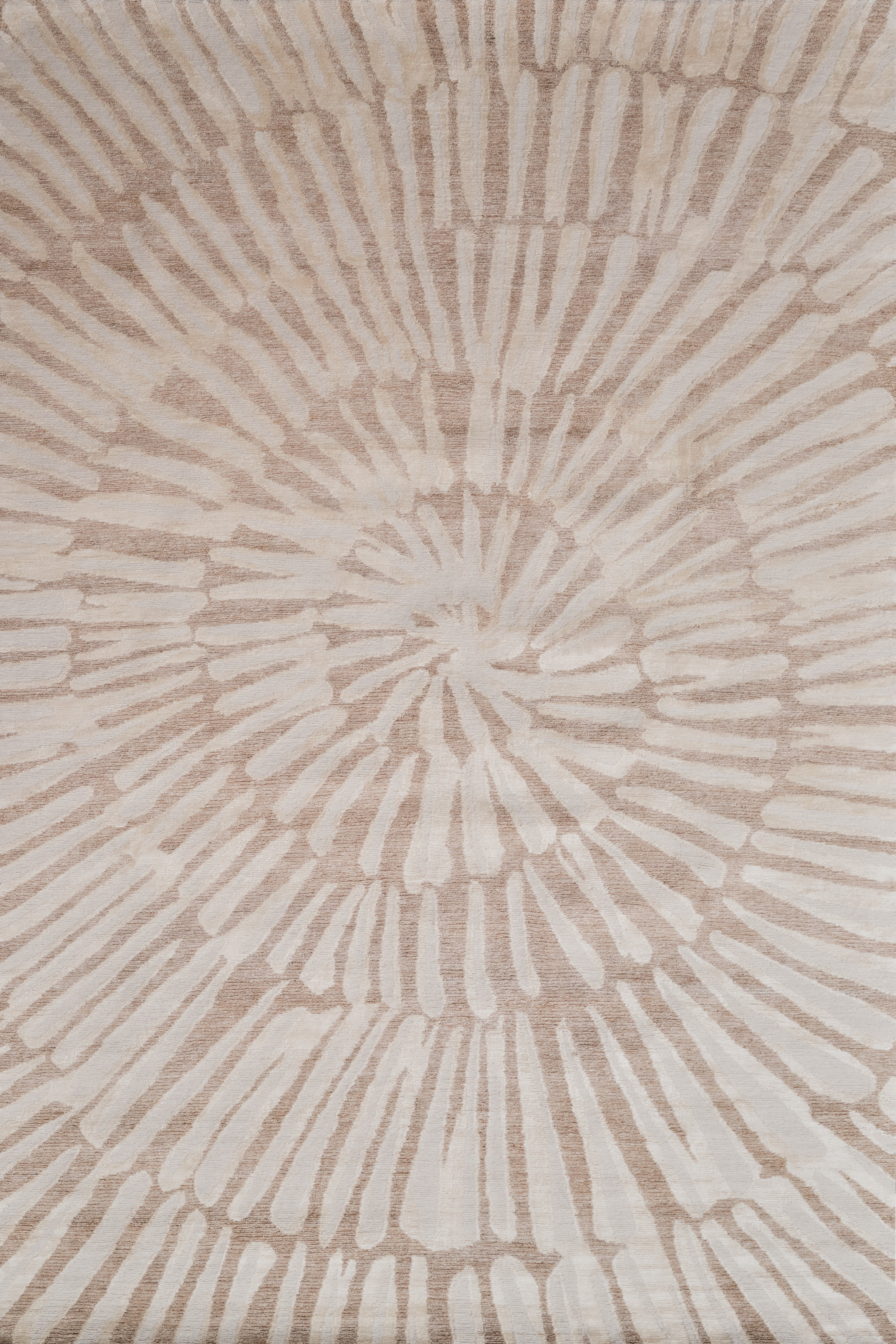 Ammonite Natural by Winch - flatshot