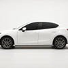 Precut back door tint kit custom cut for your exact vehicle.