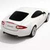 Precut back 2-3 rds tint kit custom cut for your exact vehicle.