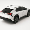 Precut back 2-3 rds tint kit custom cut for your exact vehicle.