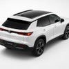 Precut back 2-3 rds tint kit custom cut for your exact vehicle.