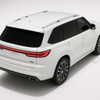 Precut back 2-3 rds tint kit custom cut for your exact vehicle.