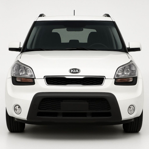 Precut sunstrip tint kit custom cut for your exact vehicle.