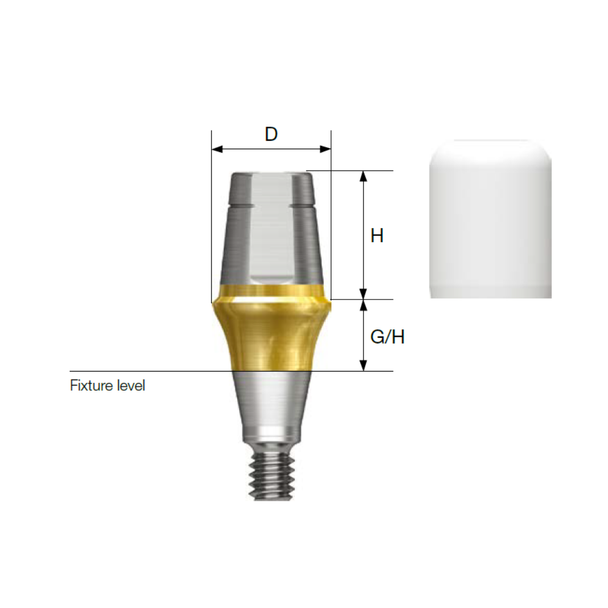 TS Rigid Abutment