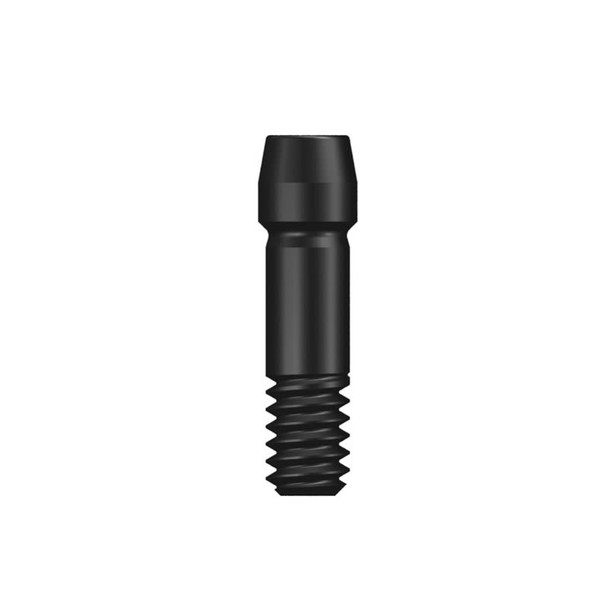 TS Ebonygold Abutment Screw