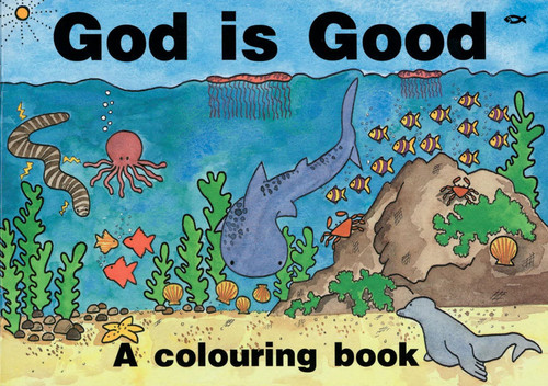 God Is Good: A Colouring Book (Bible Art) Paperback – Picture Book, 20 Nov. 2010 by Hazel Scrimshire