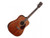 Cort Earth 70 Acoustic Guitar Mahogany Solid Top