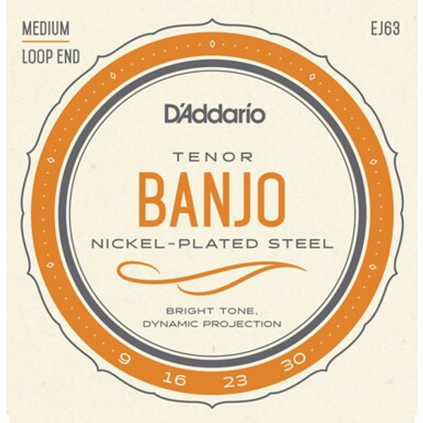 D'Addario EJ63 4 String Tenor Banjo Strings Medium 9-30