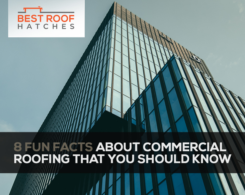 8 Fun Facts About Commercial Roofing That You Should Know