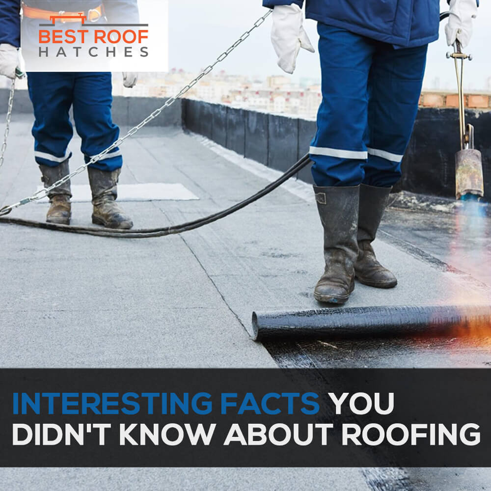 Interesting Facts You Didn't Know About Roofing