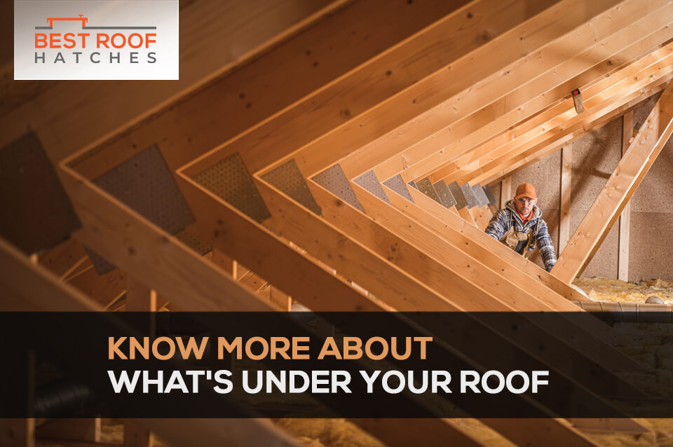 Know More About What's Under Your Roof Know More About What's Under Your Roof