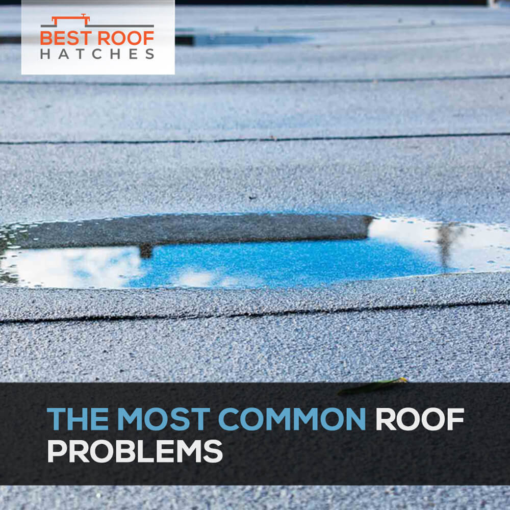 The Most Common Roof Problems The Most Common Roof Problems