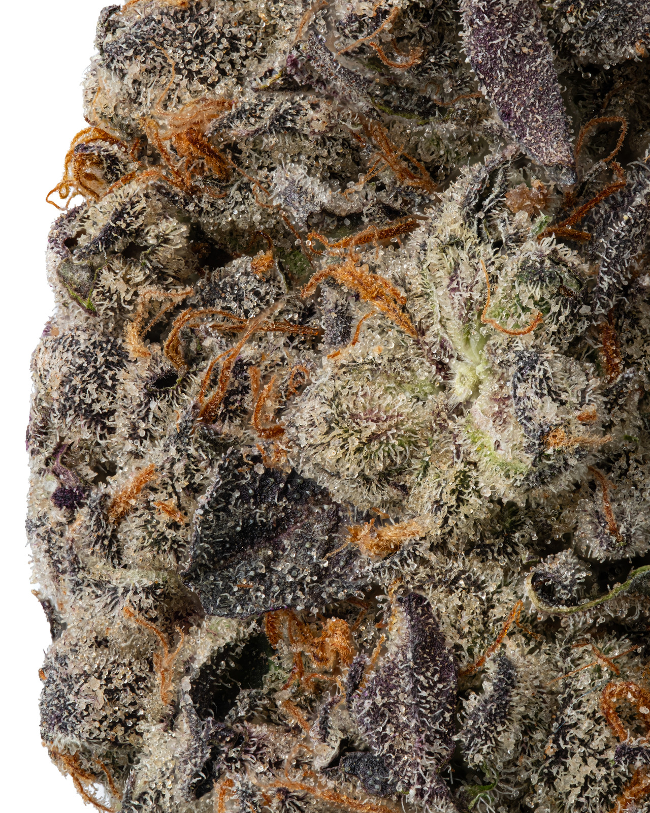 THCa Lemon Cherry Pie – Sweet Citrus Hybrid | WNC CBD