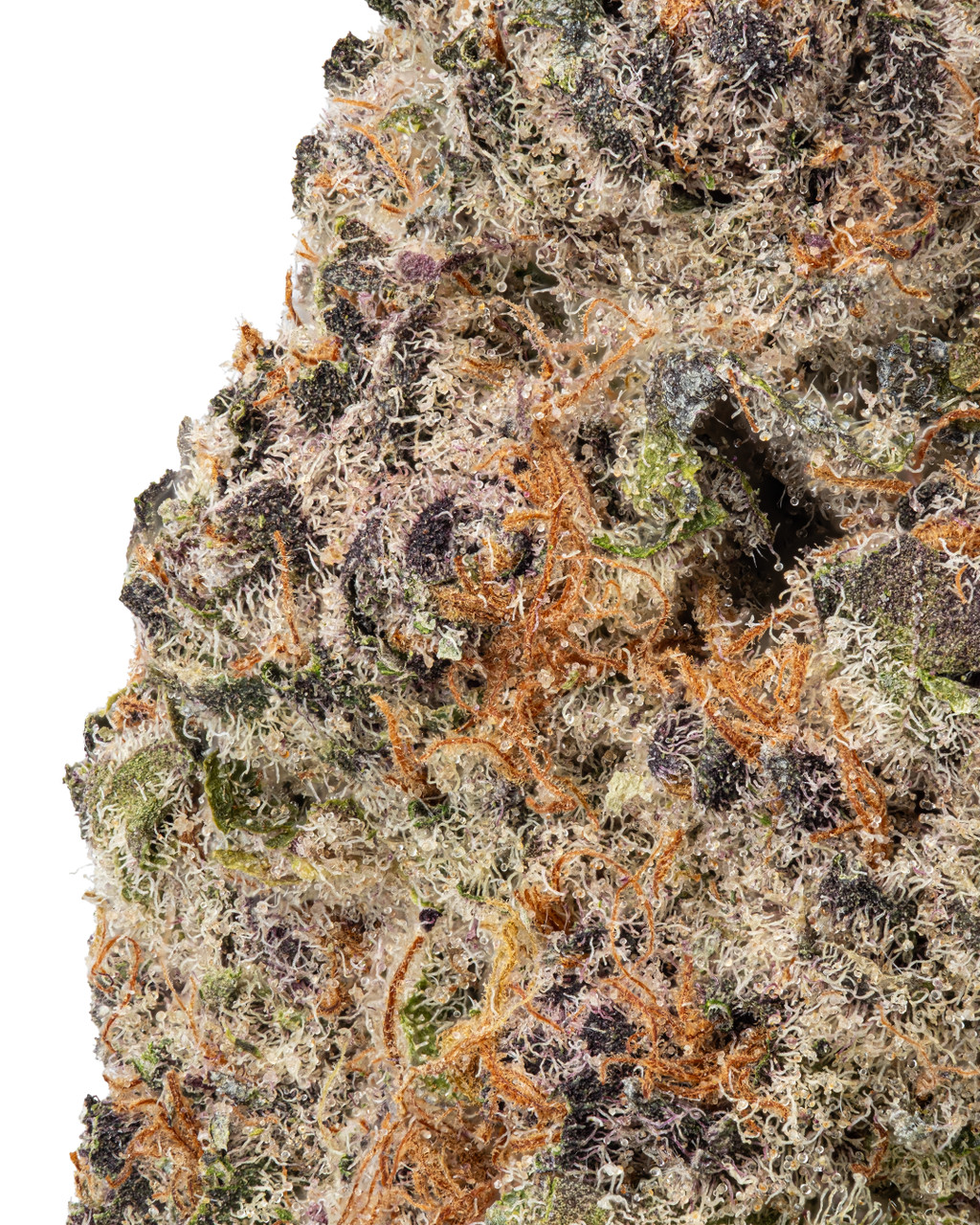 THCa Granddaddy Purple Indoor Living Soil | WNC
