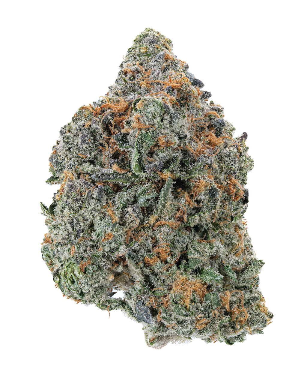 King Louis XIII - Strain Information -  - Strain  Information