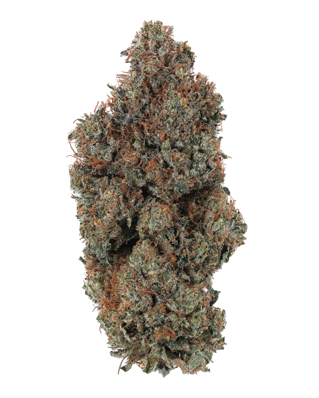 CBD OZK Platinum Indoor – Indica Hybrid with Mango Funk Aroma