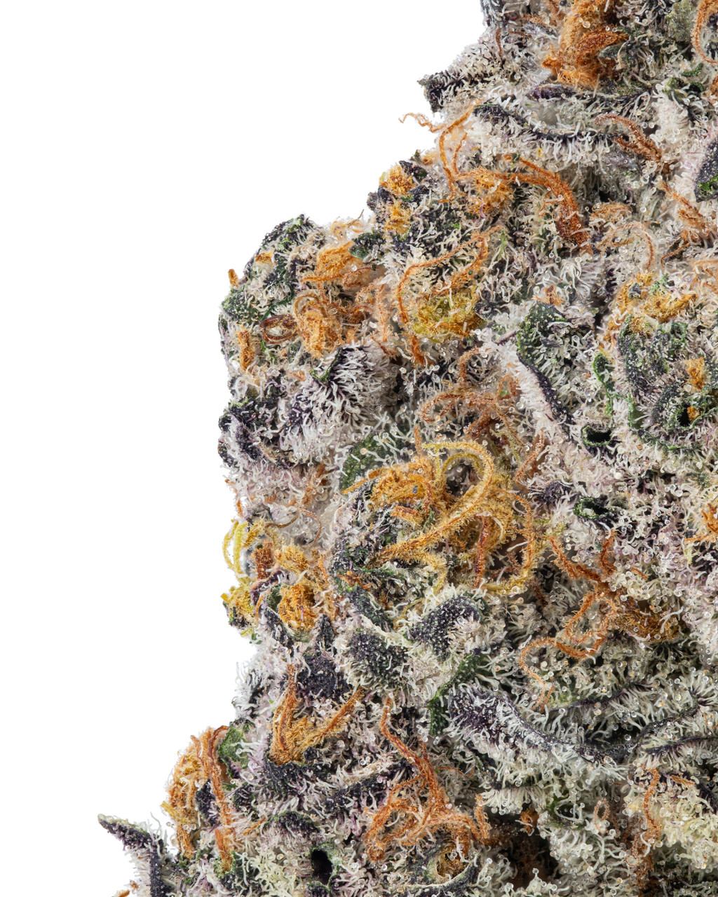 THCa Dosi Trop Indoor Flower – Indica Hybrid with Tropical Cookie