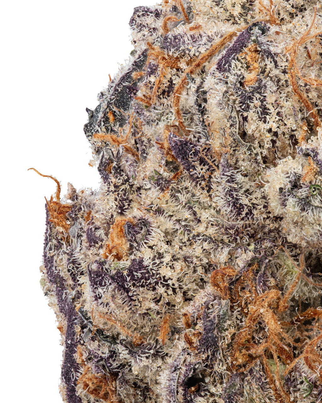 【⭐️moca⭐️】 LOT OF 2 / BRAND NEW FRONTIER FCA252 MoCa 2.5 Ethernet