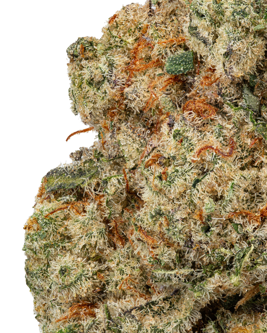 Apple - Hana 008639517020.jpg