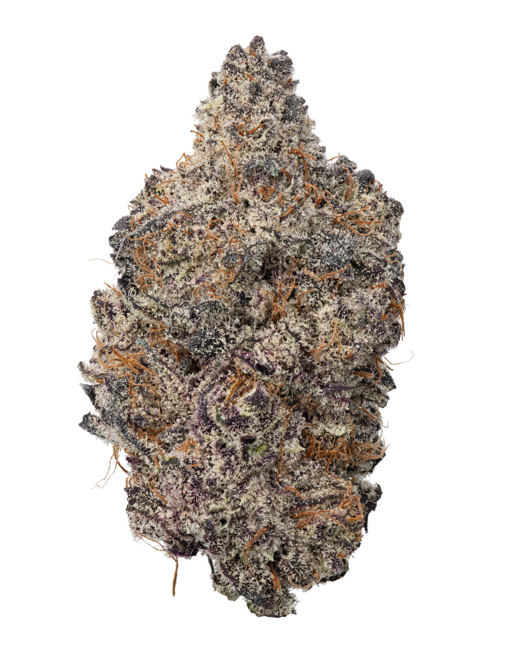THCa Dragon – Indoor Hybrid | WNC