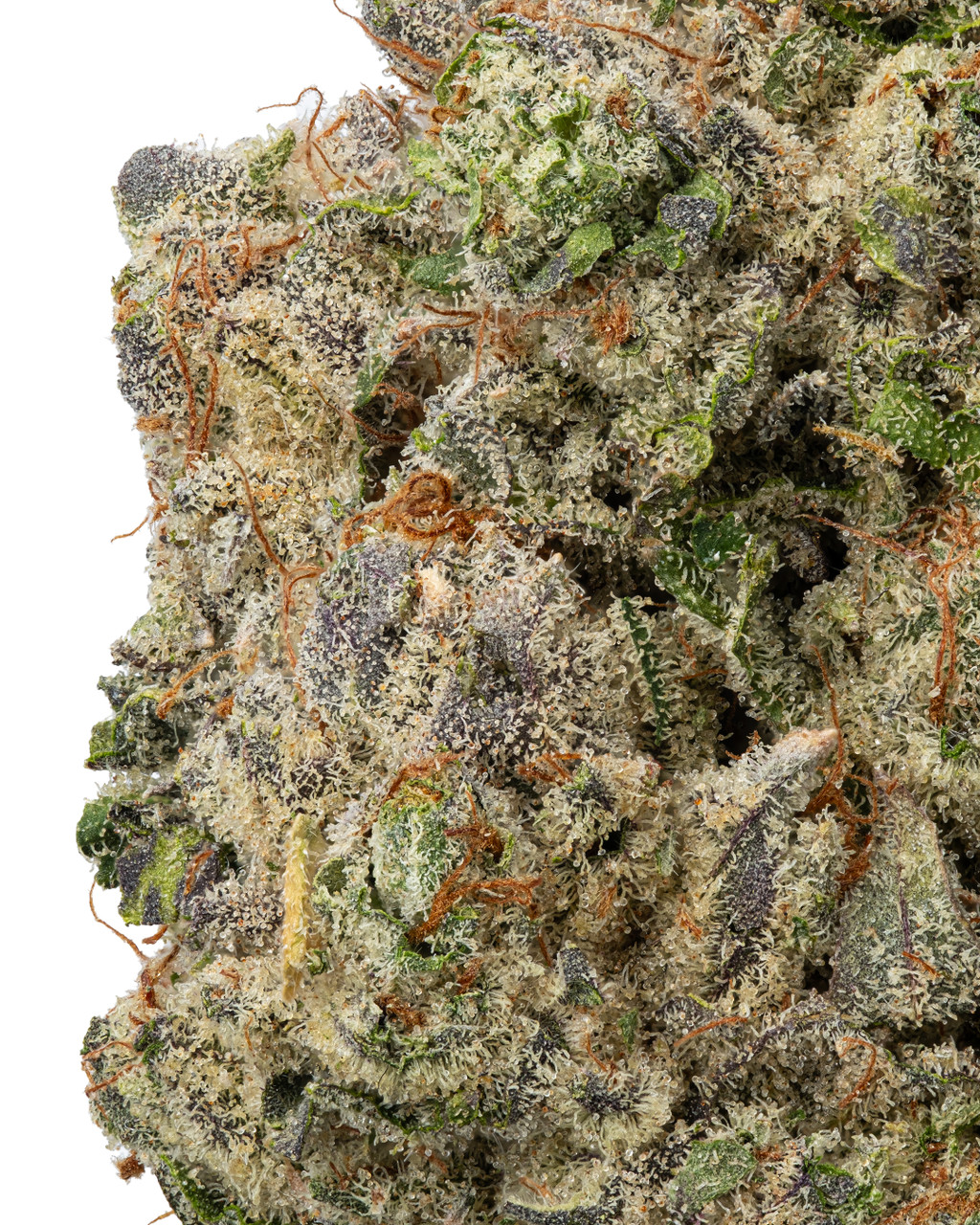 THCa OG Kush Indoor Living Soil | WNC