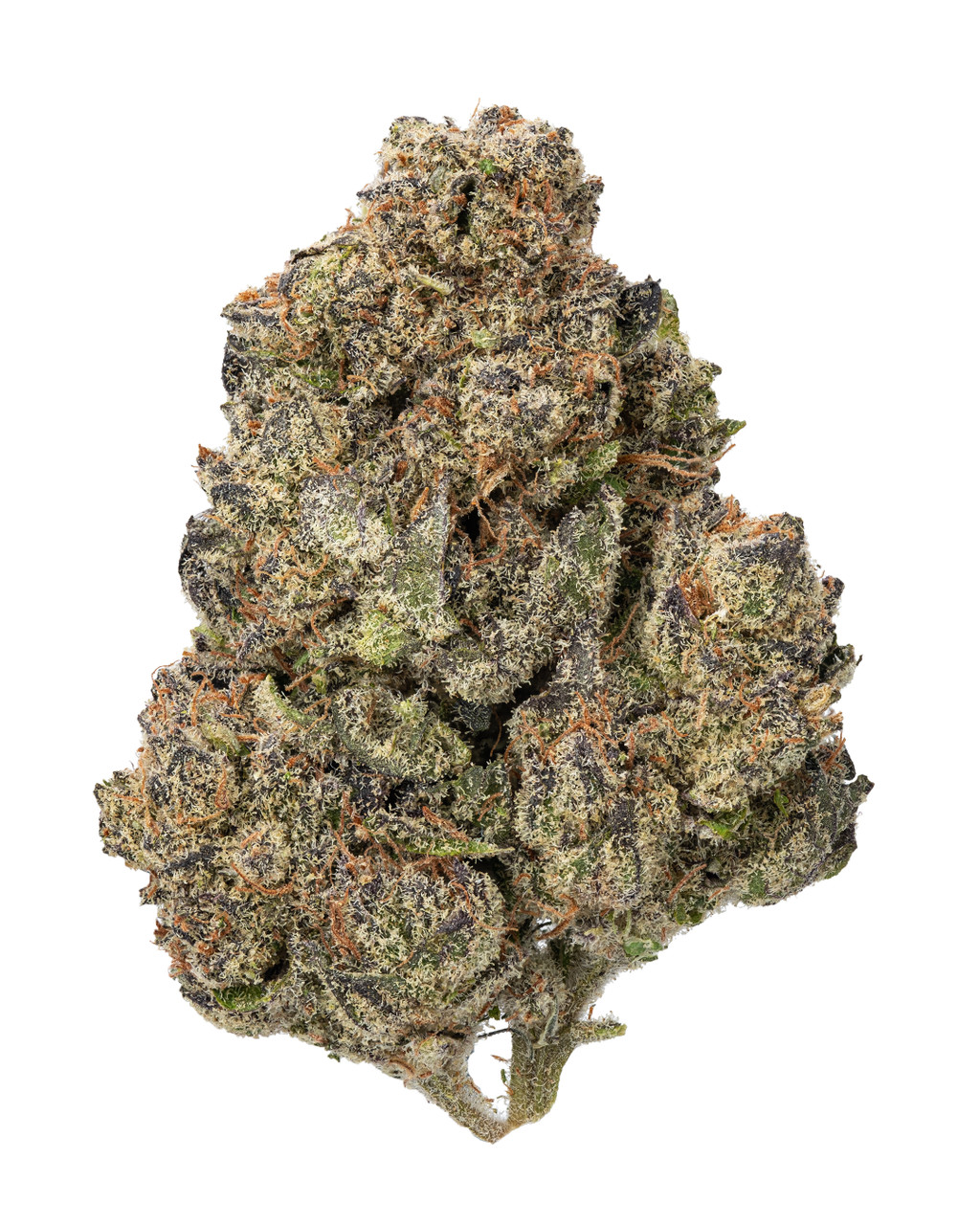 パクチー　15kg ZX2 Classic Wm - The Benchmark Outdoor Outfitters