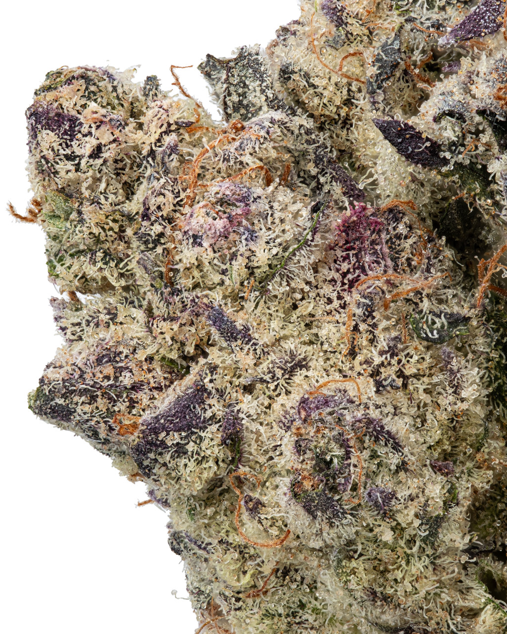 THCa Cinderella 99 Indoor Living Soil