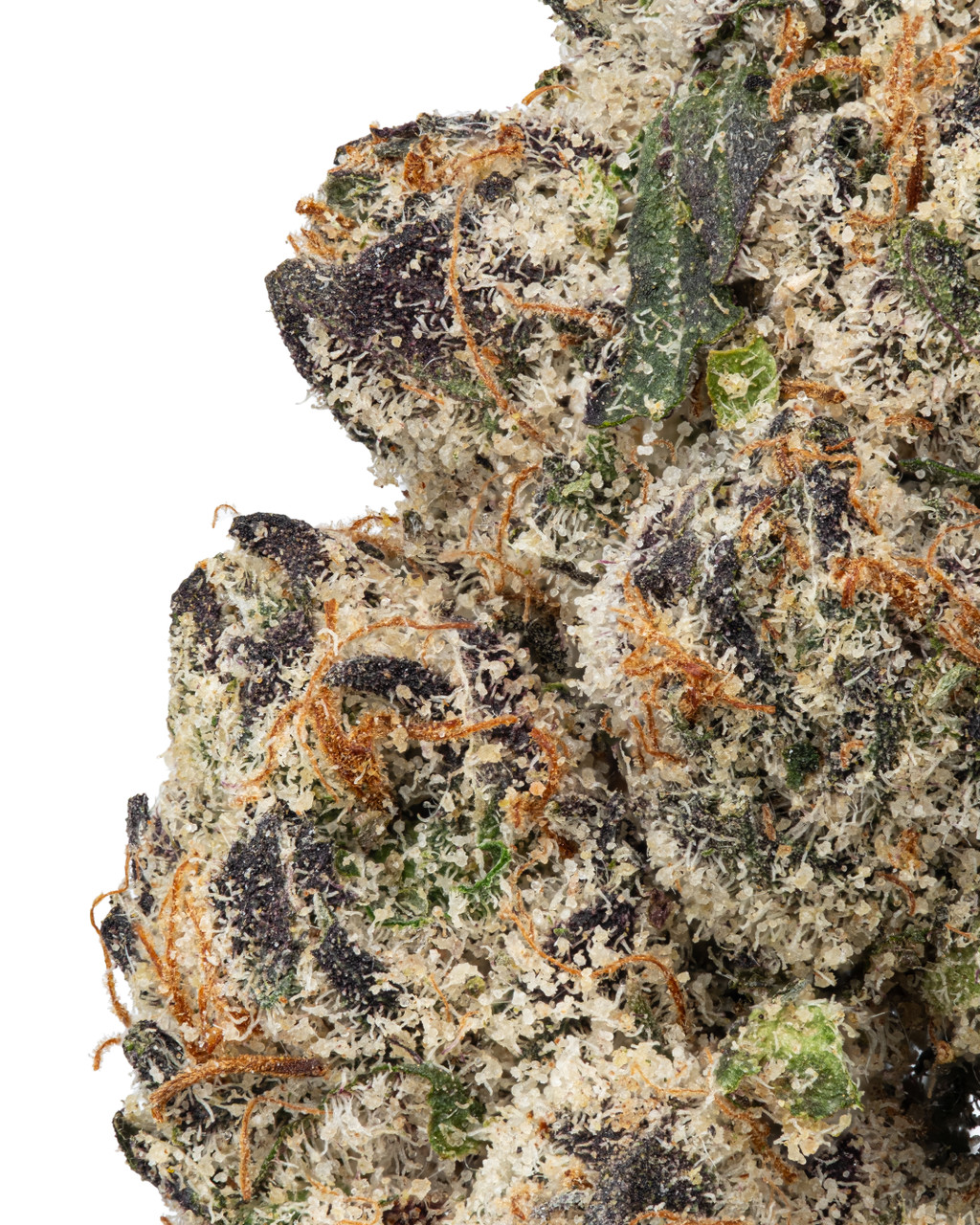 THCa Platinum Lemon Cherry Gelato Indoor Living Soil