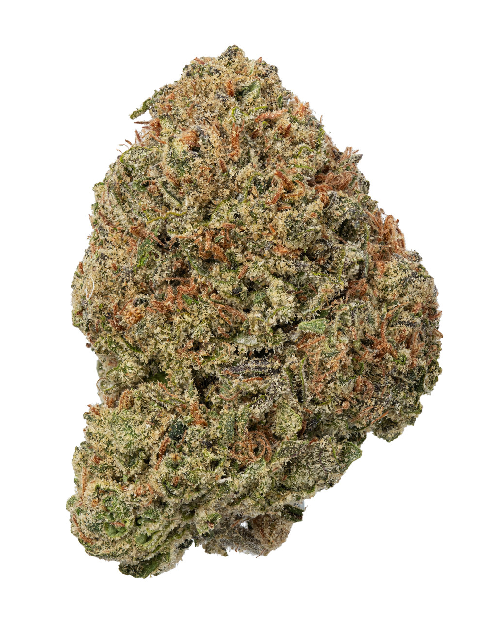 THCa Pluto Indoor Hydro – Potent Indica Flower | WNC
