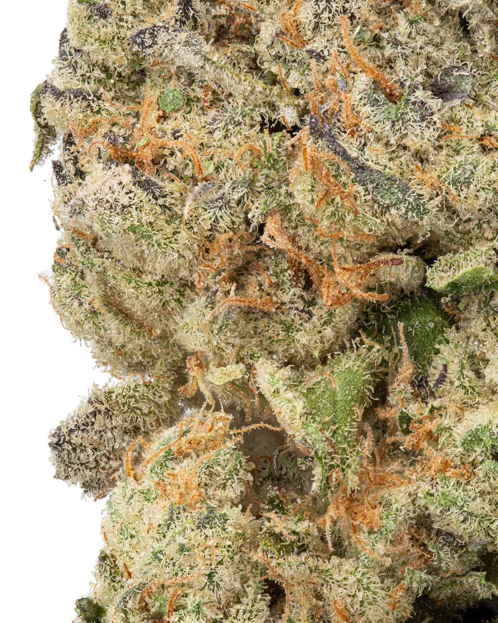 THCa Mule Fuel Indoor Living Soil – Potent Indica Flower | WNC CBD