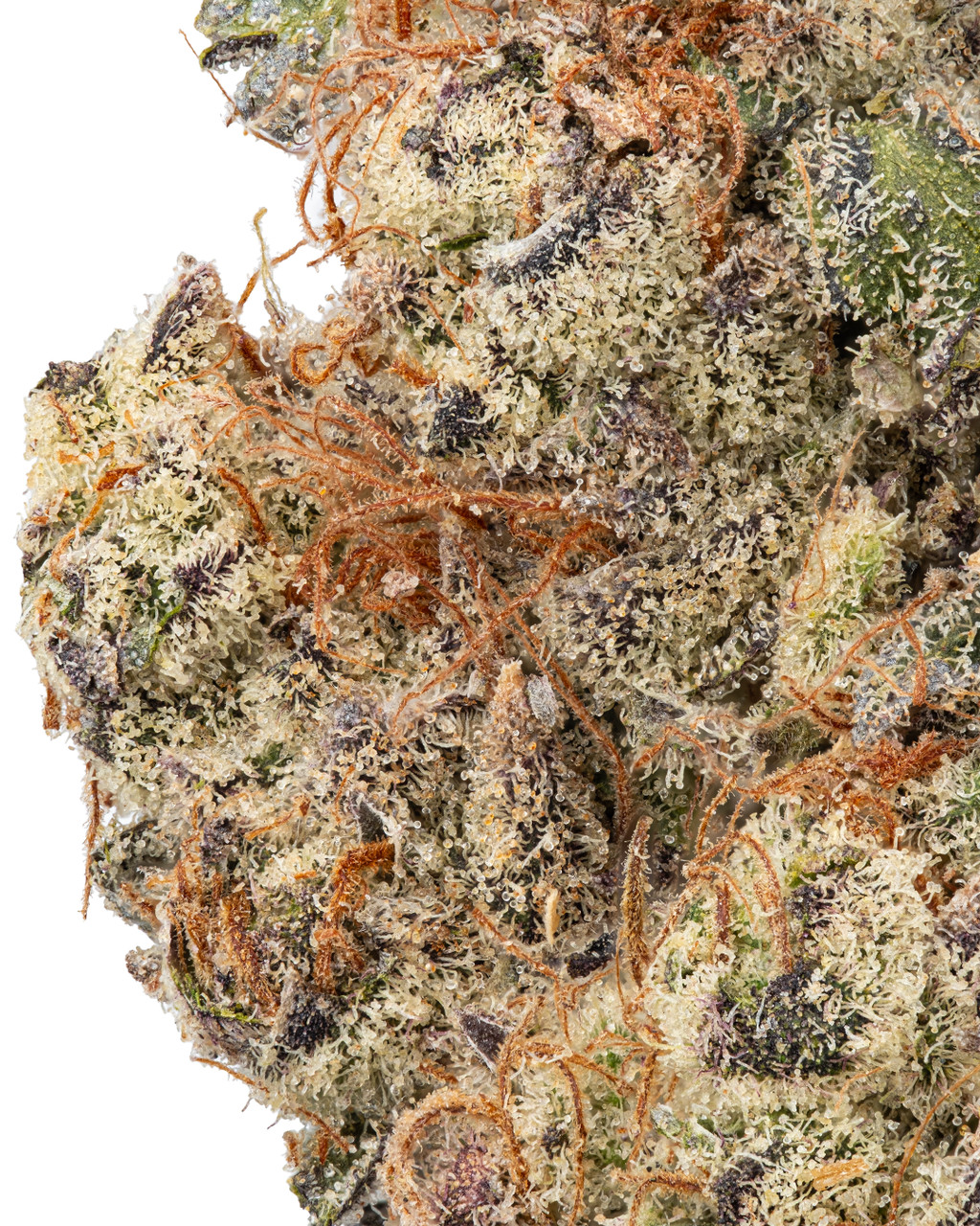 光田康典 hopeful weeds 公式FC限定CD vol.002～004 光田康典 hopeful weeds 公式FC限定CD vol.002～004