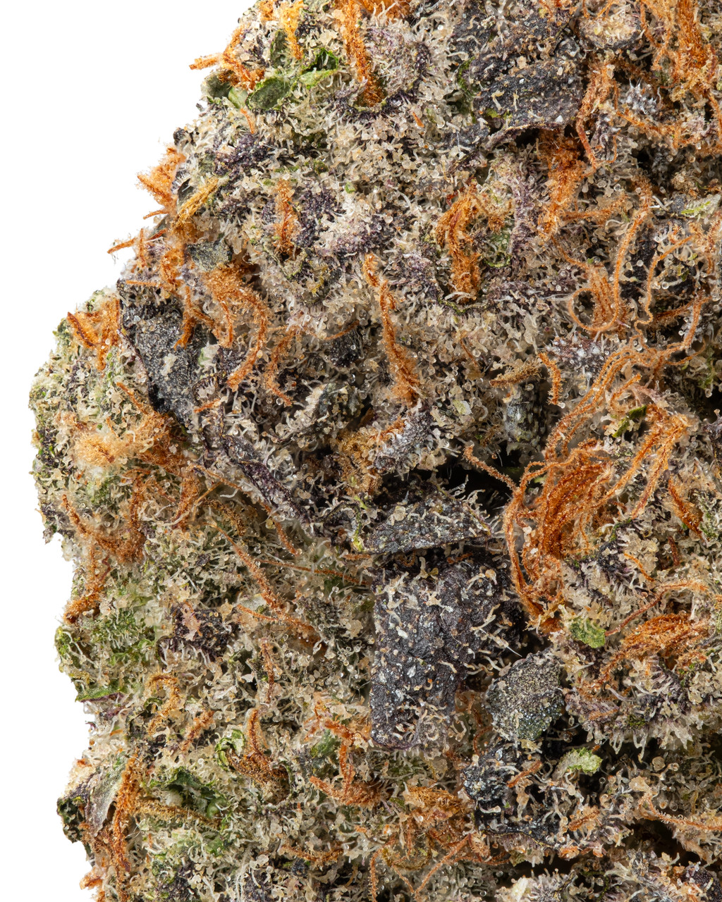 THCa Zoap Indoor Living Soil – Potent Indica Flower | WNC CBD