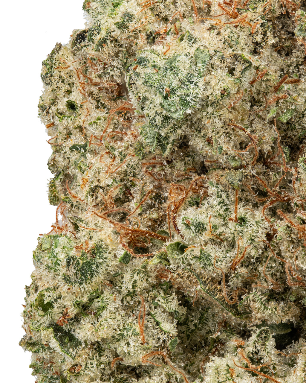 THCa Bubba Kush Indoor Living Soil – Potent Indica Flower | WNC CBD