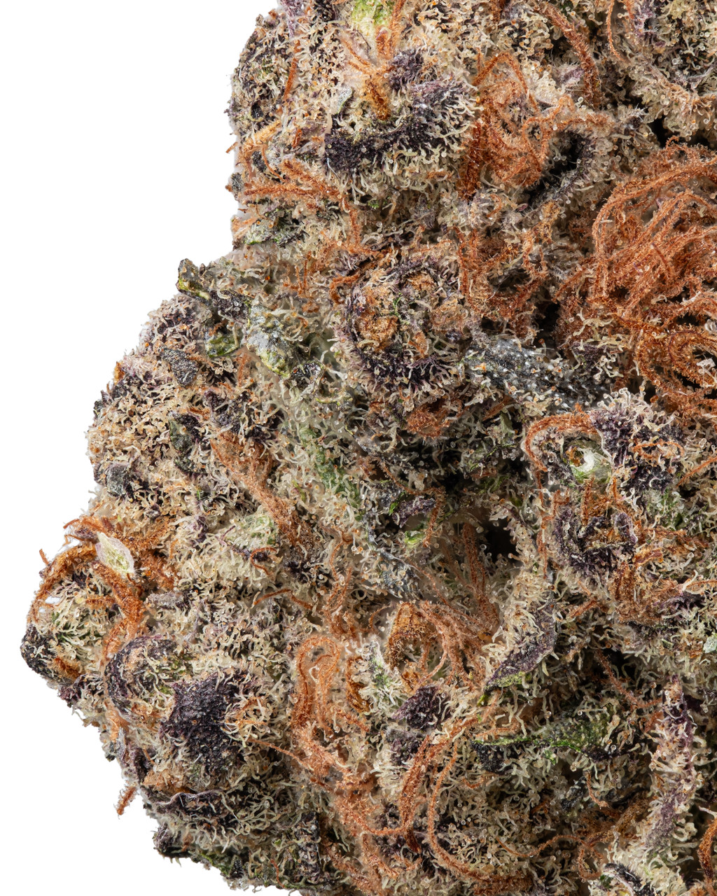 THCa Black Dolphin – Indica Flower | WNC CBD